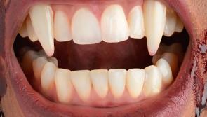 Sink your teeth into new Dracula play in Kilkenny - Auditions tomorrow!!!!