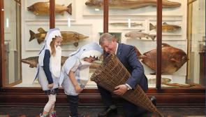 Kilkenny families invited to Fishy Fun for International Year of the Salmon