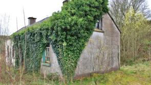 Early green shoots can mean trouble