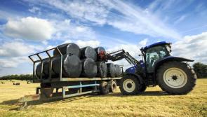 Online applications for 'crucial' €56m fodder support scheme now open - McConalogue