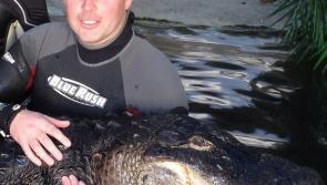 National Reptile Zoo in Kilkenny raises €40,000 through Linked Finance