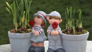 Free plant exchange and plant giveaway at L'Arche Kilmoganny