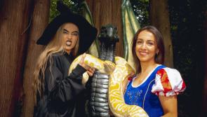 Once upon a time: Fairytale Festival returning to Kilkenny this July