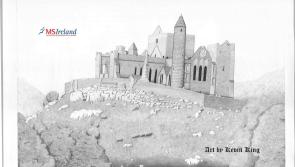 Kilkenny artist to auction art for MS charity