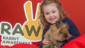 Kilkenny pet-owners get your bunny vaccinated!