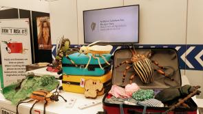  Launch of &lsquo;Don&rsquo;t Risk it&rsquo; Plant Health Awareness Campaign