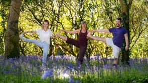 Kilkenny woodland owners can apply for up to &euro;72,000 under new scheme!