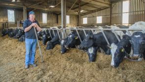 Kilkenny farm leader “strongly opposed” to further restrictions being placed on farms below 170kgN/ha