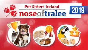Kilkenny pet owners urged to enter Nose of Tralee