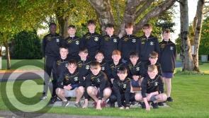 Kennedy Cup: Kilkenny battle back to earn share of spoils in Limerick