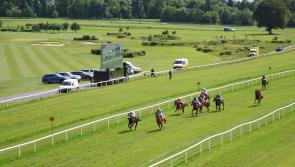 Debut win for O'Brien's Laburnum at Gowran Park