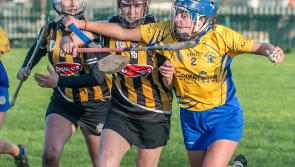 Camogie: Dalton and Gaule on fire as Kilkenny beat Galway in heavyweight championship opener