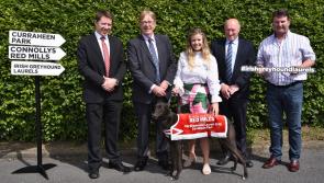 Kilkenny family business Connolly’s Red Mills announced as sponsors of Irish greyhound Laurels