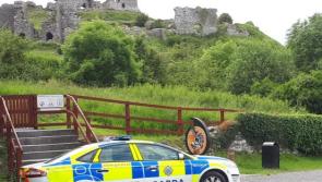 Young man arrested after death of tourist at historic Laois landmark 