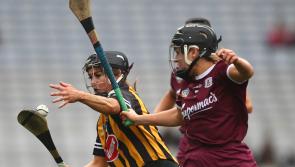 Camogie: Ruthless Kilkenny show Wexford no mercy