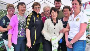 Silver jubilee of Ballyfoyle Show in Kilkenny was pure gold