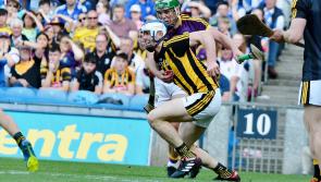 Leinster final: when it came to it, Wexford's thinking was clear, crisp and lucid