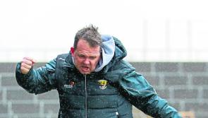 Wexford knew their lines and now it all comes as second nature to them - Fitzgerald