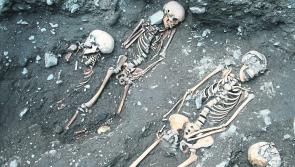 Concealed for centuries - Haunting Kilkenny skeletons go on  display