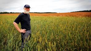 LET’S HEAR IT FOR FARMING DISCOUNT 