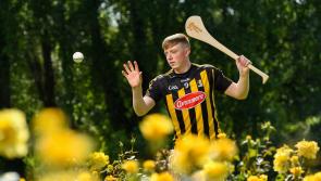 Cats know they face huge, huge challenge in Wexford