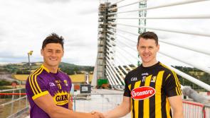 Kilkenny meets Wexford as first deck span on bridge is completed