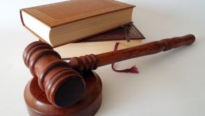 Supreme Court grants An Taisce leave to appeal Belview cheese plant decision