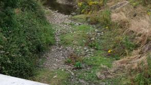 Kilkenny river bed has dried up