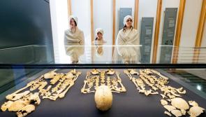 Stunning new exhibition to open at Kilkenny's Medieval Mile Museum