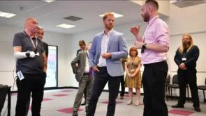Kilkenny man showcases his work to The Duke of Sussex 