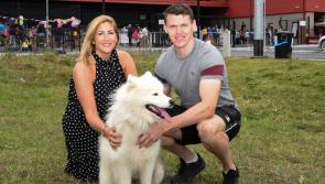 Barking mad at Barkfest!