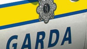 LATEST: Gardaí issue witness appeal for fatal N7 crash