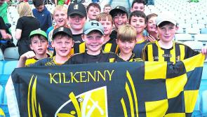 Let's get behind the Kilkenny teams - details of fundraising events announced