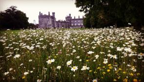 Stellar lineup of events at Kilkenny Castle for Heritage Week