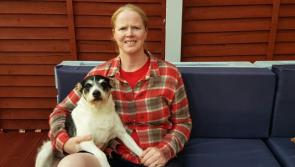 My Kilkenny Life: Deirdre Damasceno Wall