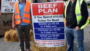 'On our knees' - Kilkenny farmers join beef protest