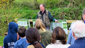 Wildlife Wonders Walk with Paddy Dwan at Mount Congreve Gardens for National Heritage Week