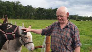 My Kilkenny Life: Eamon Maher 