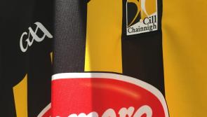 Hurling: Kilkenny ready to take a bite out of the Big Apple!