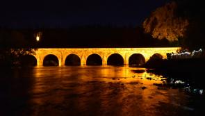 Lights, camera, action! Woodstock House to be lit up gold on special day in Inistioge