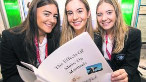 Kilkenny Students - Don’t miss out on Young Scientists Exhibition