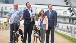 Sophies Man sole hope for Kilkenny in Irish Greyhound Derby