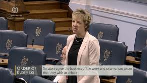 Carlow/Kilkenny Labour back Bacik as next leader