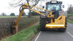 Hedgerow cutting comes to a halt - Kilkenny Live 