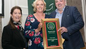Newpark Hotel Kilkenny named Georgina Campbell’s Family Friendly Hotel of the Year