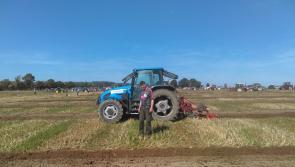 Hopes high for Kilkenny in novice ploughing