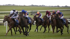 HRI announce replacement Flat fixture for Gowran Park