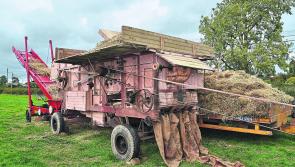 Kilkenny - Treshing around in Coon next Sunday