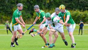 Kilkenny IHC: Tullaroan bounce back in style to dish out big beating to Fenians