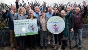 Two Pollinator Awards for Kilkenny in Tidy Towns 